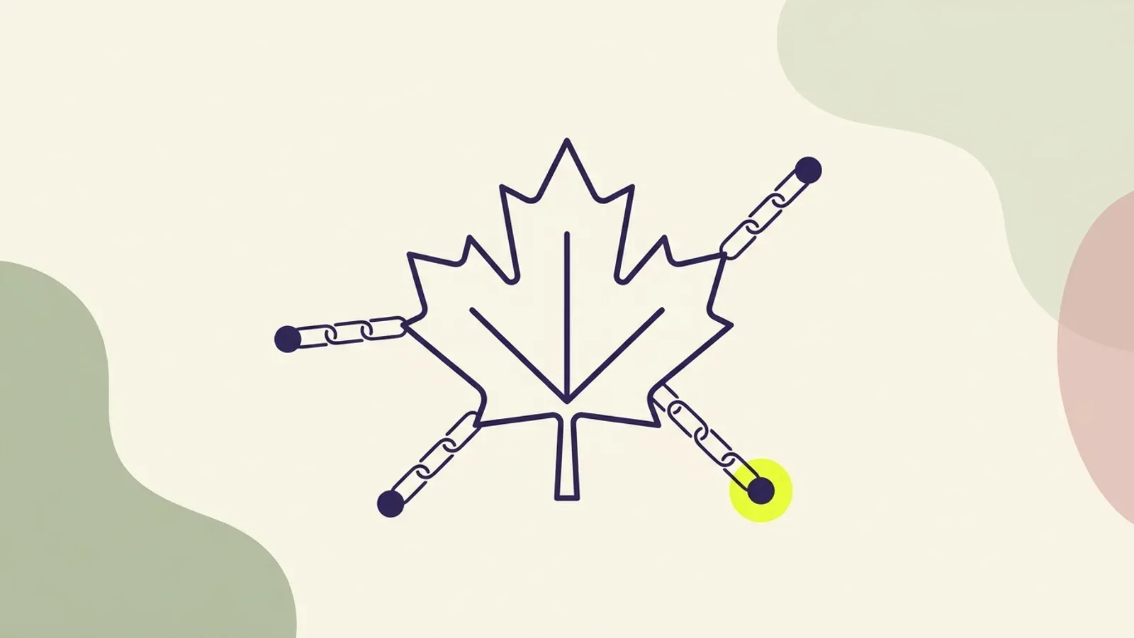 A stylized maple leaf outlined in navy ink, connected by thin lines to small nodes, illustrating a network of backlink and citation sources.
